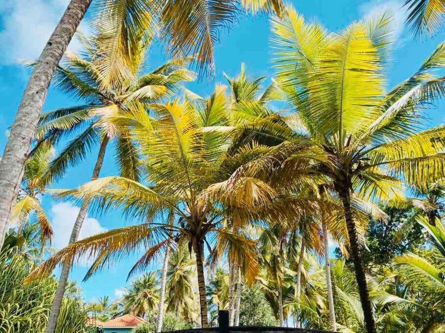 Palm House - Luxury Villa - Samana - Ocean Front Sánchez 外观 照片