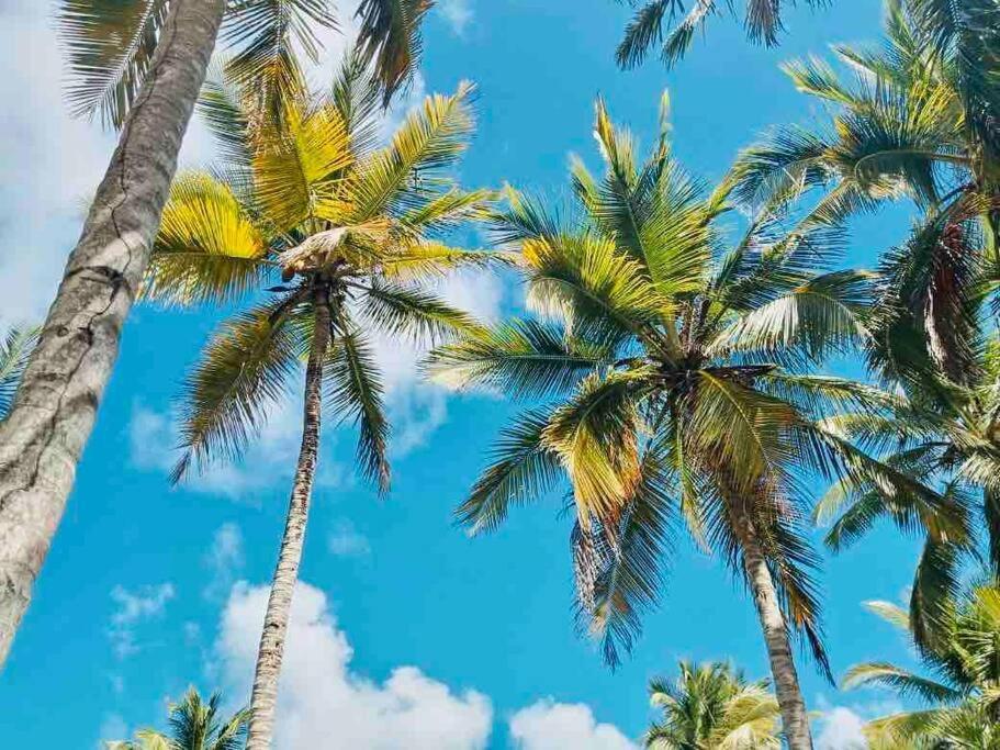 Palm House - Luxury Villa - Samana - Ocean Front Sánchez 外观 照片
