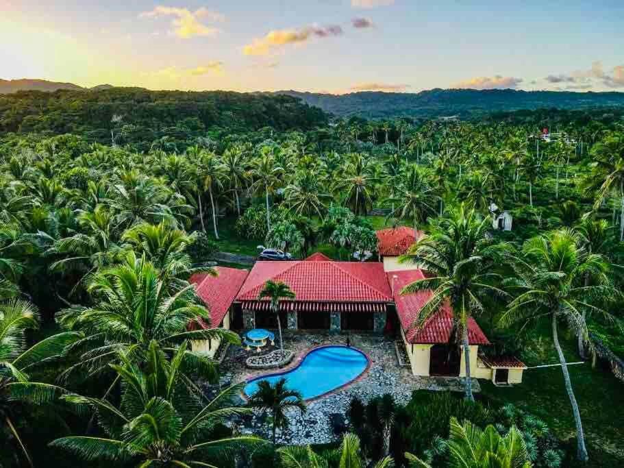 Palm House - Luxury Villa - Samana - Ocean Front Sánchez 外观 照片