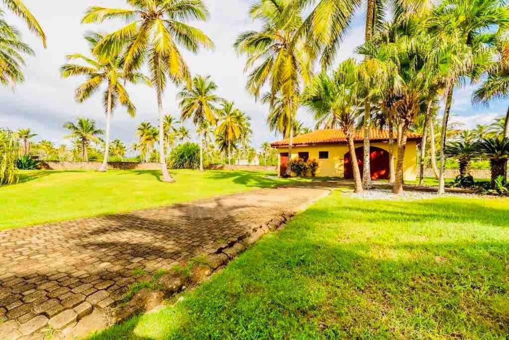 Palm House - Luxury Villa - Samana - Ocean Front Sánchez 外观 照片