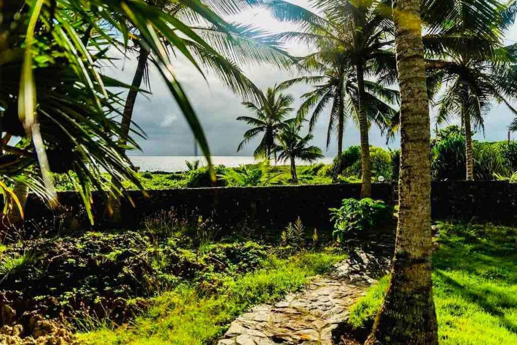 Palm House - Luxury Villa - Samana - Ocean Front Sánchez 外观 照片