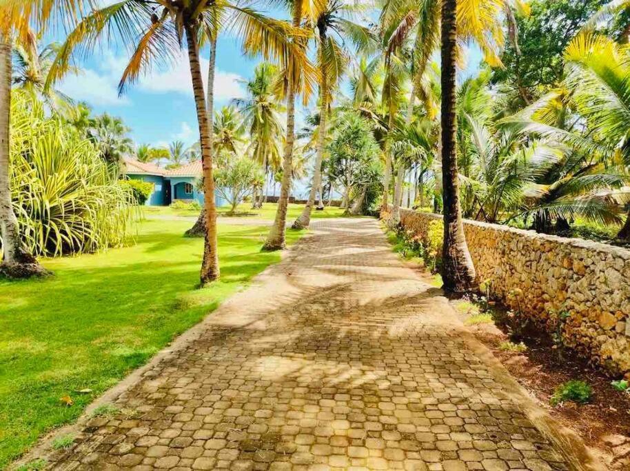 Palm House - Luxury Villa - Samana - Ocean Front Sánchez 外观 照片