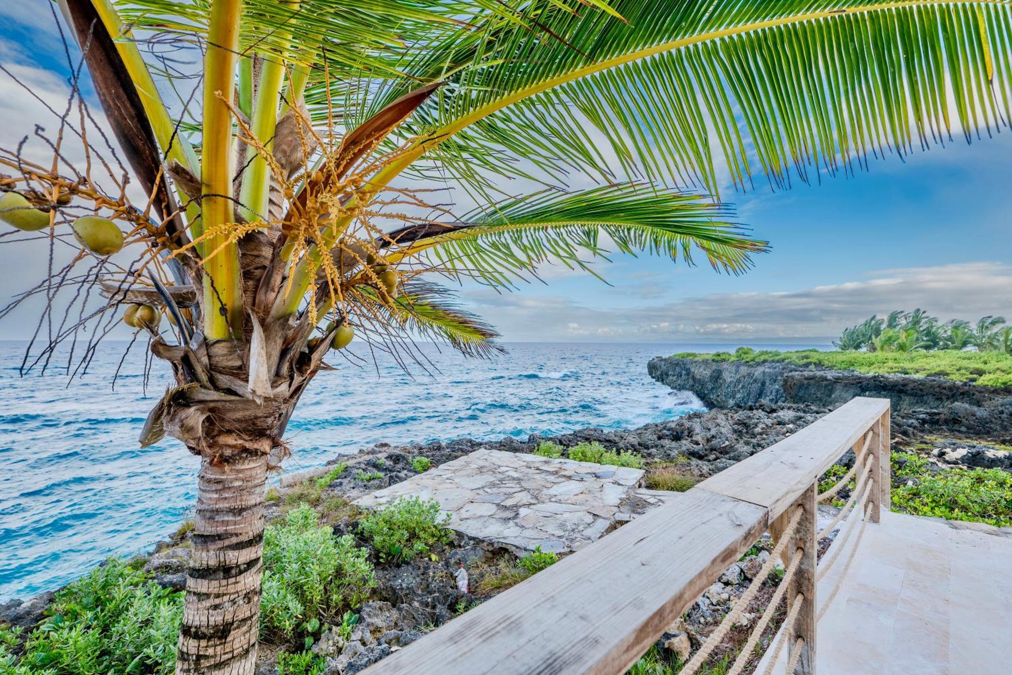 Palm House - Luxury Villa - Samana - Ocean Front Sánchez 外观 照片
