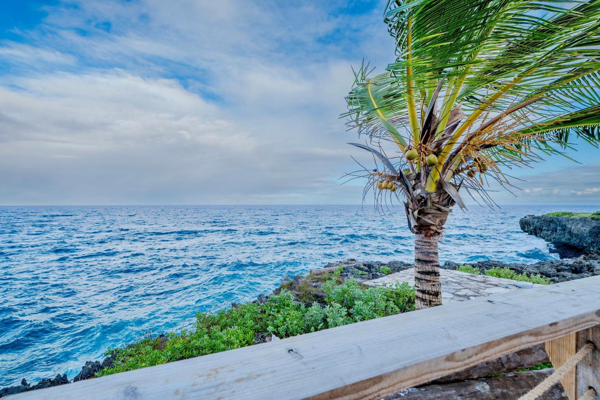 Palm House - Luxury Villa - Samana - Ocean Front Sánchez 外观 照片