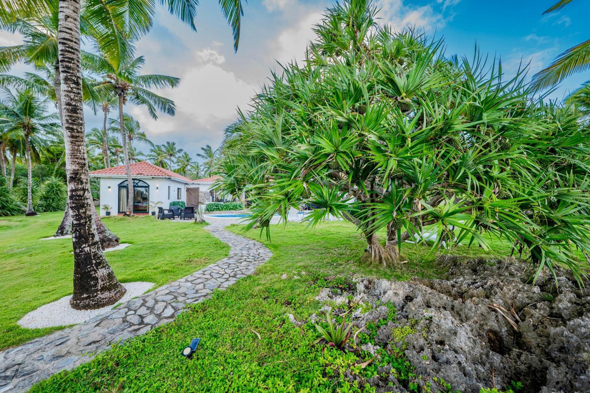 Palm House - Luxury Villa - Samana - Ocean Front Sánchez 外观 照片